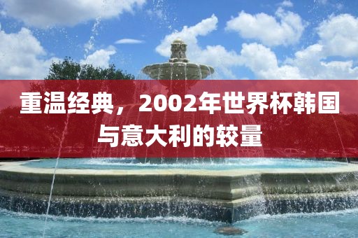 重永康市本千工贸有限公司温经典,2002年世界杯韩国与意大利的较量