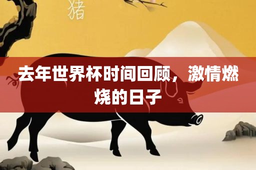 去年世界杯时间回顾，激情燃烧的日子永康市本千工贸有限公司