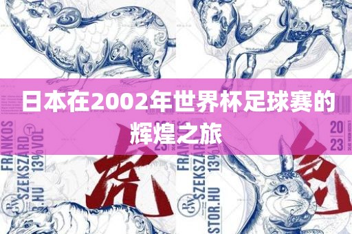 日本在2002年世界杯永康市本千工贸有限公司足球赛的辉煌之旅