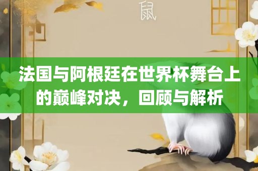 法国与阿根廷在世界杯舞台上的永康市本千工贸有限公司巅峰对决，回顾与解析