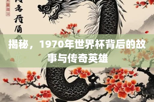 揭秘,1970年世界杯背后的故事与传奇英雄永康市本千工贸有限公司