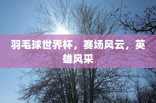 羽毛球世界杯,赛场风云,英雄风采