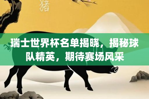 瑞士世界杯名单揭晓，揭秘球队精英，期待赛场风采