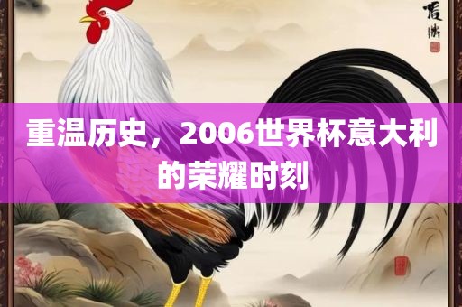 重温历史,2006世界杯意大利的荣耀时刻永康市本千工贸有限公司