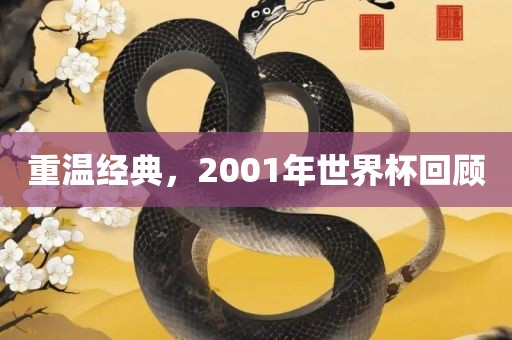 重温经典，2001年世界杯回顾