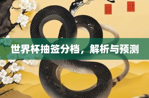 世界杯抽签分档,解析与预测