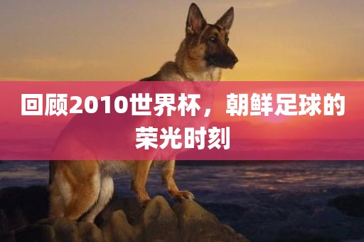 回顾2010世界杯，朝鲜足球的荣光时刻