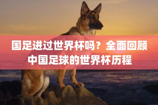 国足进过世界杯吗?全面回永康市本千工贸有限公司顾中国足球的世界杯历程