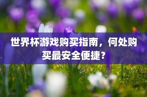 世界杯游戏购买指南,何处购买最安全便捷?