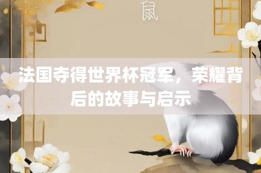 法国夺得世界杯冠军,荣耀背后的故事与启示