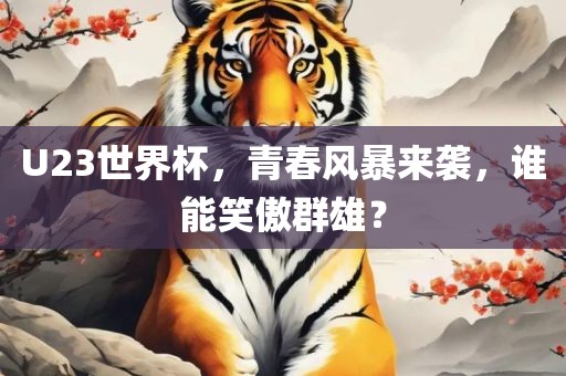 U23世界杯,青春风暴来袭,谁能笑傲群雄?