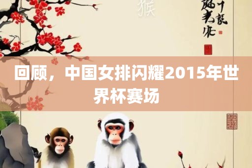 回顾,中国女排闪耀2015年世界杯赛场永康市本千工贸有限公司