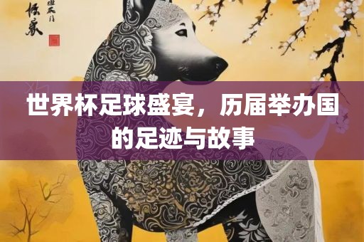 世界杯足球盛宴,历届举办国的足迹与故事永康市本千工贸有限公司