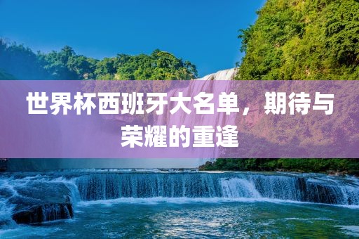 世界杯西班牙大名单,期待与荣耀的重逢