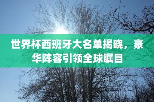 世界杯西班牙大名单揭晓，豪华阵容引领全球瞩目
