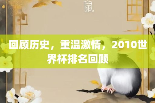 回顾历史,重温激情,2010世界杯排名回顾