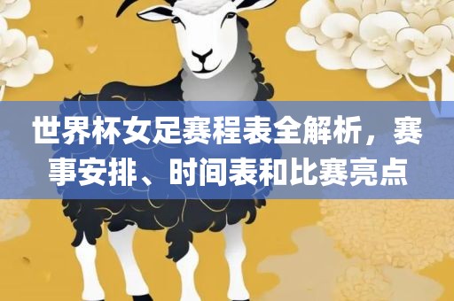 世界永康市本千工贸有限公司杯女足赛程表全解析,赛事安排、时间表和比赛亮点