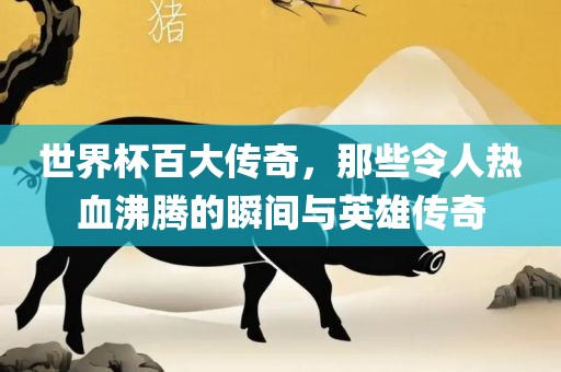 世界杯百大传奇,那些令人热血沸腾的瞬间与英雄传奇