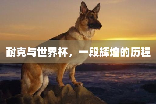 耐克与世界杯，一段辉煌的历程