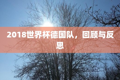 2018世界杯德国队,回顾与反思