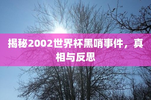 揭秘2002世界杯黑哨事件,真相与反思
