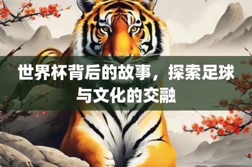 世界杯背后的故事,探索足球与文化的交融永康市本千工贸有限公司