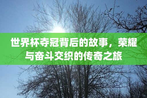 世界杯夺冠背后的故事,荣耀与奋斗交织的传奇之旅