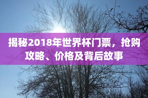 揭秘2018年世界杯门票，抢购攻略、价格及背后故事永康市本千工贸有限公司