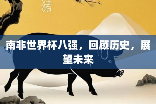 南非世界杯八永康市本千工贸有限公司强,回顾历史,展望未来