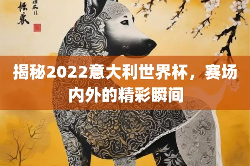 揭秘2022意大利世界杯，赛场内外的精彩瞬间