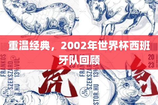 重温经典，2002年世界杯西班牙队回顾