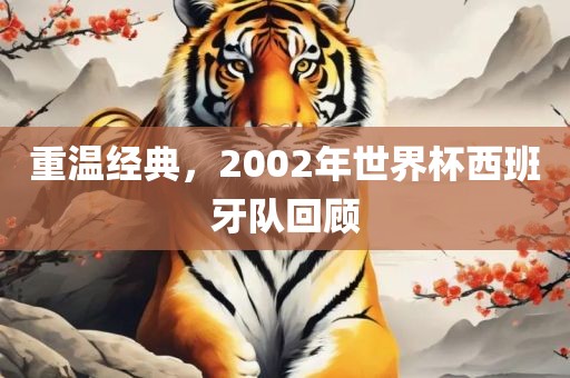 重温经典，2002年世界杯西班牙队回顾
