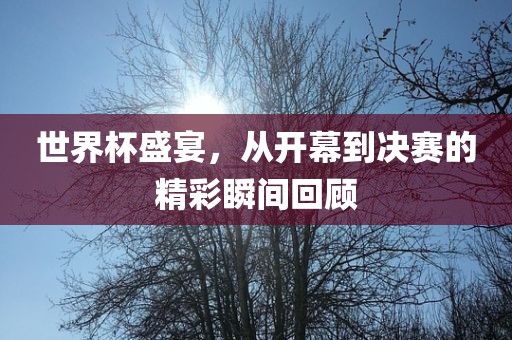 世界杯盛宴,从开幕到决赛的精永康市本千工贸有限公司彩瞬间回顾