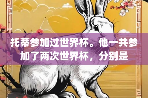 托蒂参加过世界杯。他一共参加了两次世界杯,分别是