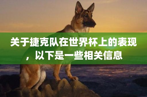 关于捷克队在世界杯上的表现，以下是一些相关信息永康市本千工贸有限公司