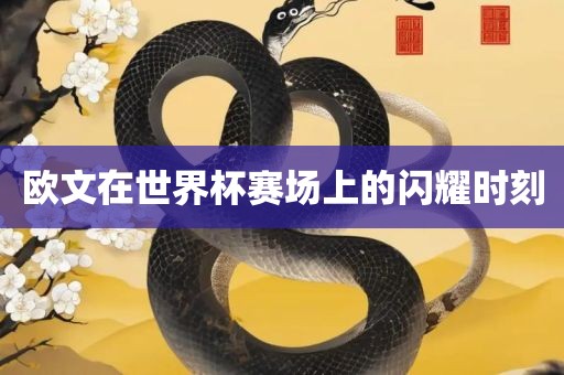 欧文在世界杯赛场上的闪耀时刻永康市本千工贸有限公司