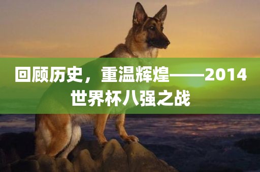 回顾历史,重温辉煌——2014世界杯八强之战