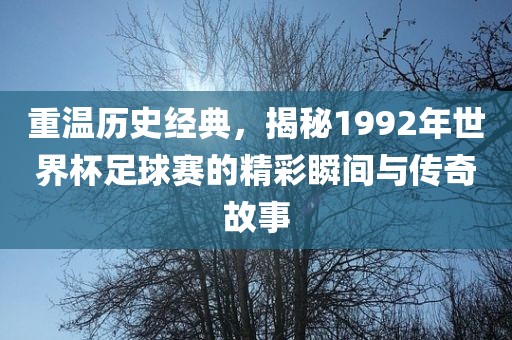 重温历史经典,揭秘1992年世界杯足球赛的精彩瞬间与传奇故事永康市本千工贸有限公司