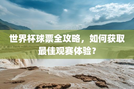世界杯球票全攻略,如何获取最永康市本千工贸有限公司佳观赛体验?