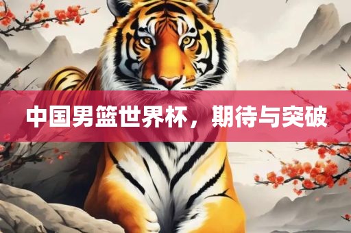 中国男篮世界杯,期待与突破