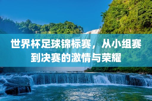 世界杯足球锦标赛,从小组赛到决赛的激情与荣耀