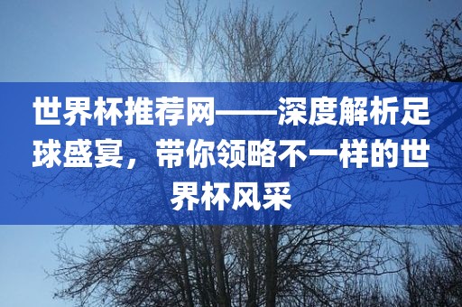 世界杯推荐网——深度解析足球盛宴，带你领略不一样的世界杯风采