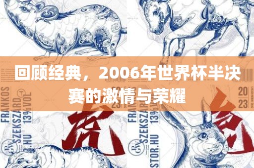 回顾经典，2006年世界杯半决赛的激情与荣耀永康市本千工贸有限公司