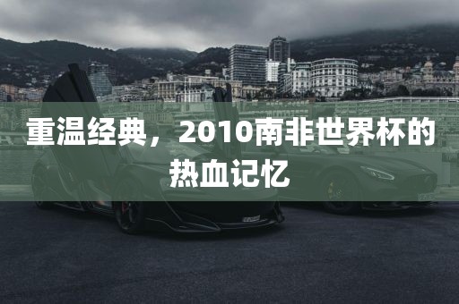 重温经典,2010南非世界杯的热血记忆永康市本千工贸有限公司