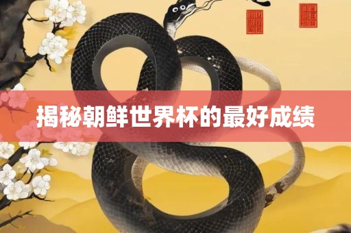 揭秘朝鲜世界杯的最好成绩