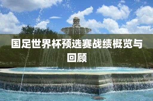 国足世界杯预选赛战绩概览与回顾