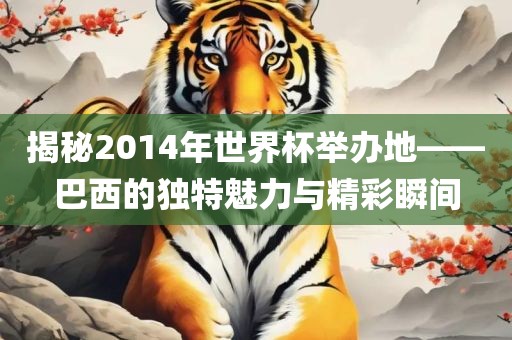 揭秘2014年世界杯举办地——巴西的独特魅力与精彩瞬间