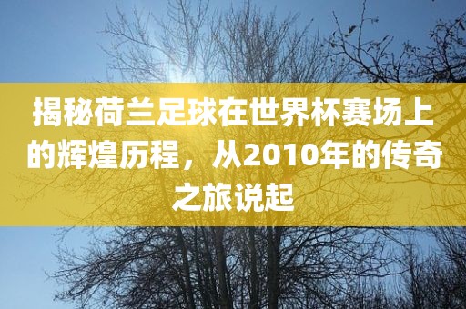 揭秘荷兰足球在世界杯赛场上的辉煌历程,从2010年的传奇之旅说起