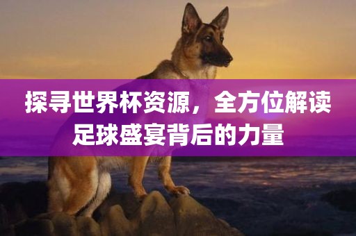 探寻世界杯资源,全永康市本千工贸有限公司方位解读足球盛宴背后的力量