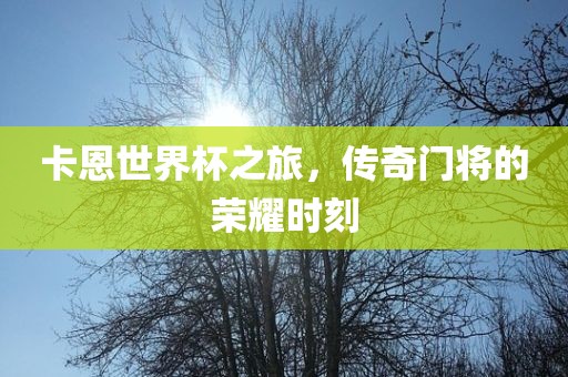 卡恩世界杯之旅,传奇门将的荣耀时刻